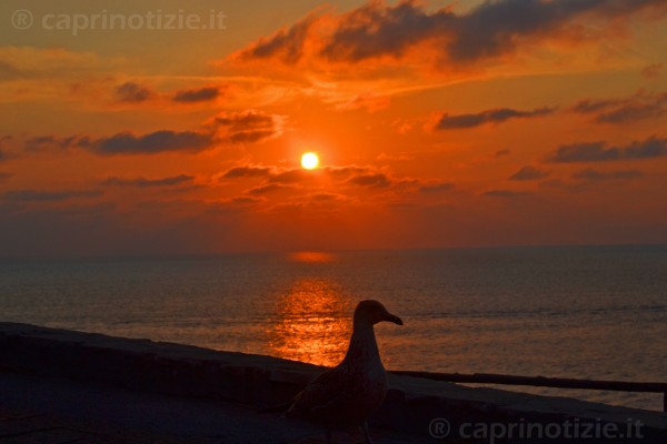 capri tramonto al faro