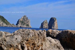 capri foto primavera capri foto primavera