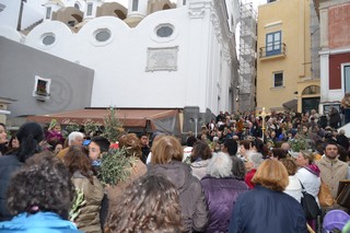DSC_0878.capri palme pasqua