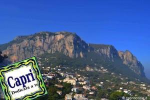 foto capri louis molino