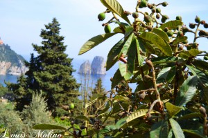 foto capri photo