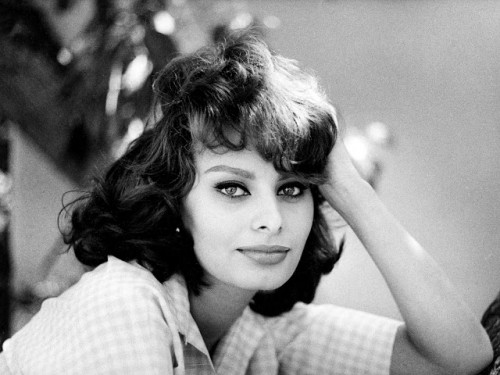 sofia loren capri