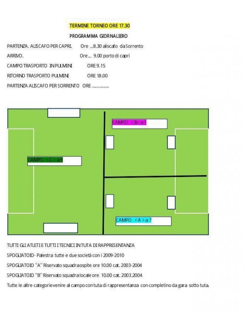 calcio1
