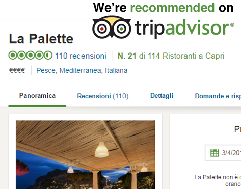 tripadvisor
