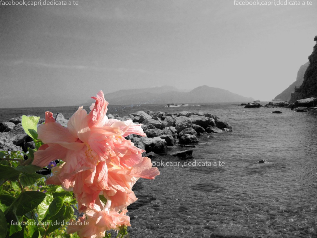 Vacanze settembre a Capri Vacanze settembre a Capri