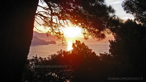 capri alba foto video vavanze