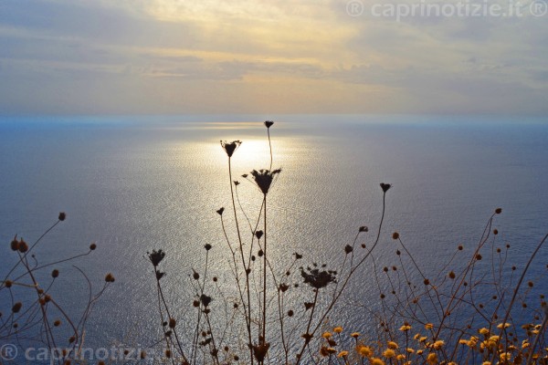 capri freddo temperature