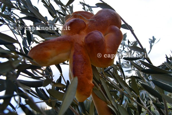 gallette pane benedizioni delle palme capri tradizioni gallette pane benedizioni delle palme capri tradizioni