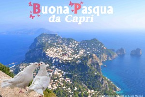 buona pasqua auguri capri
