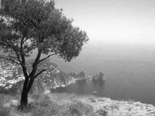 mulino vento