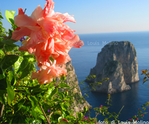 Hotel b&b Capri case vacanze capodanno natale