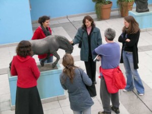 guide turistiche capri