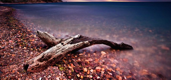legno mare