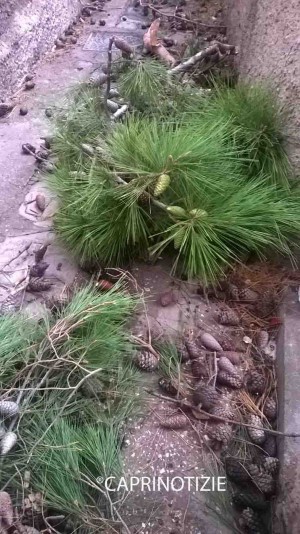 pomp3
