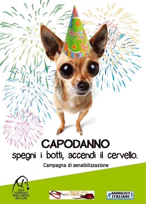 cani capodanno