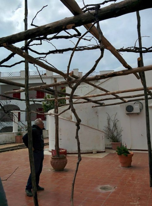 pergolato3