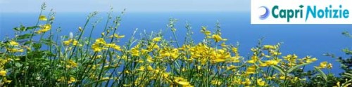 caprinotizie banner newsletter