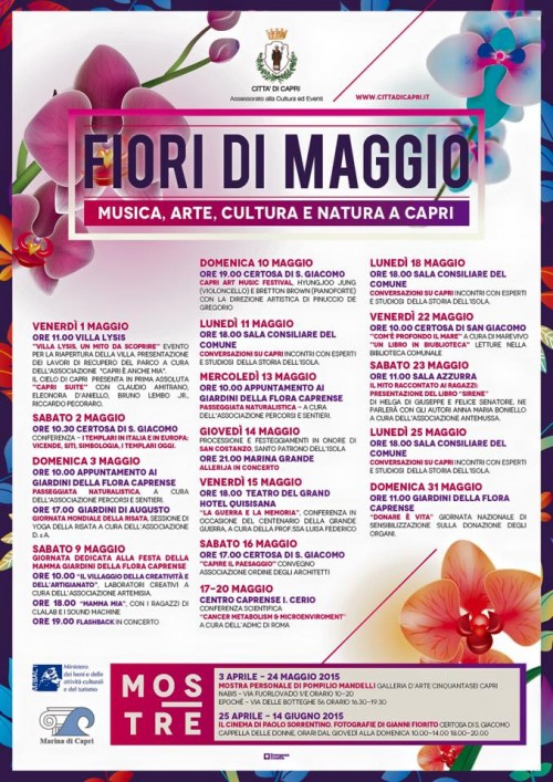 fiori dimaggio