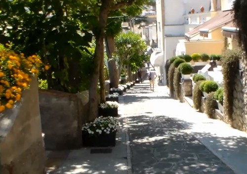 fioriere tiberio palace