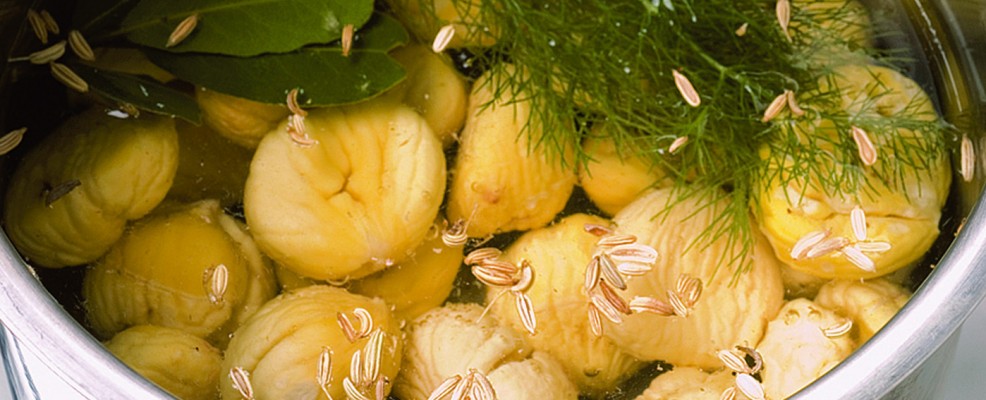 castagne peste