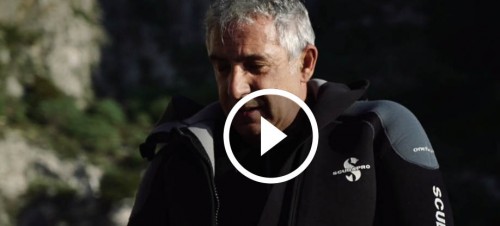 sergio video