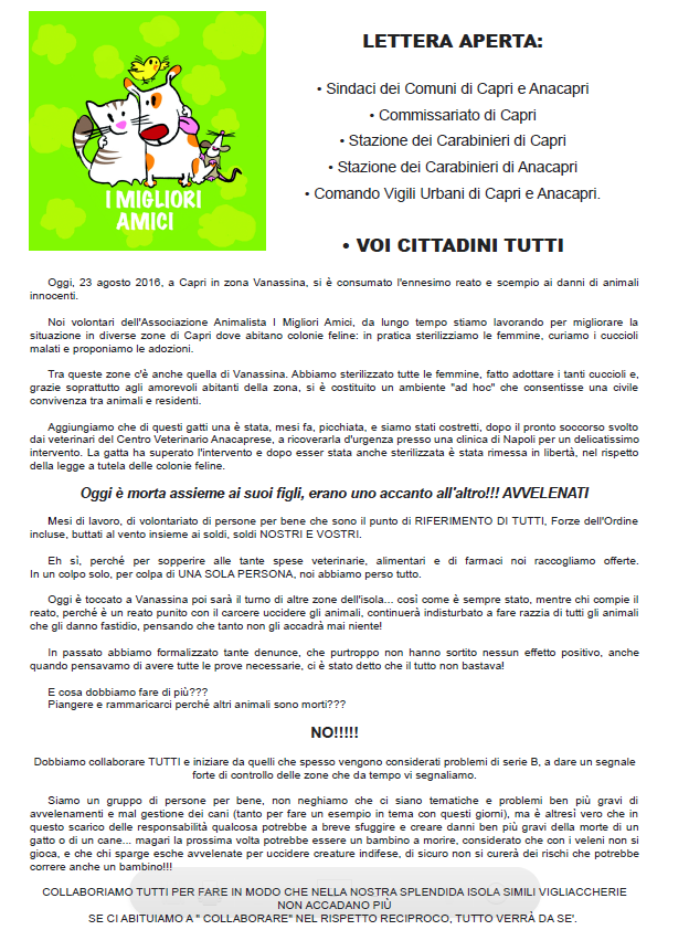 i migliori amici