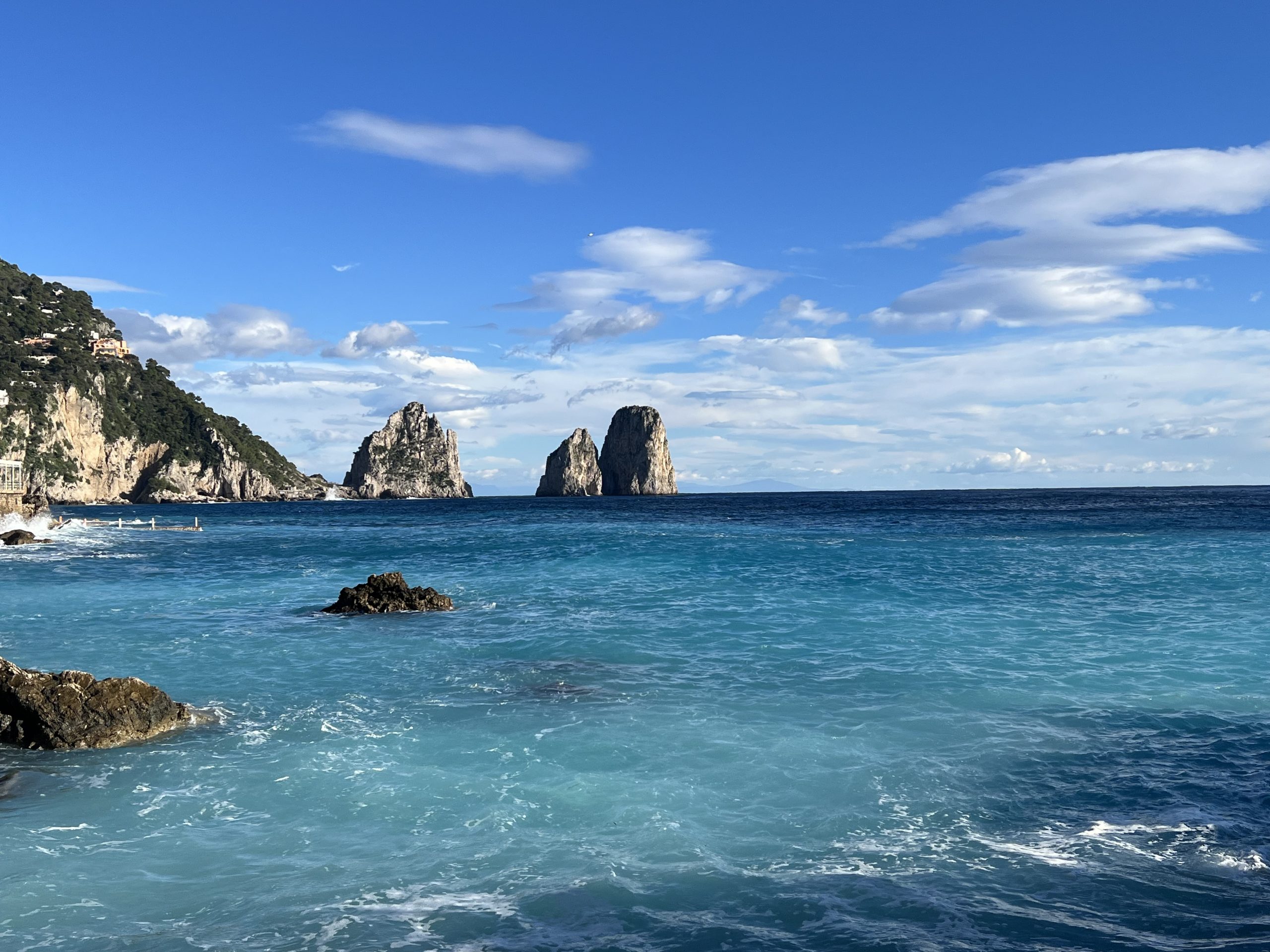 immagini di capri