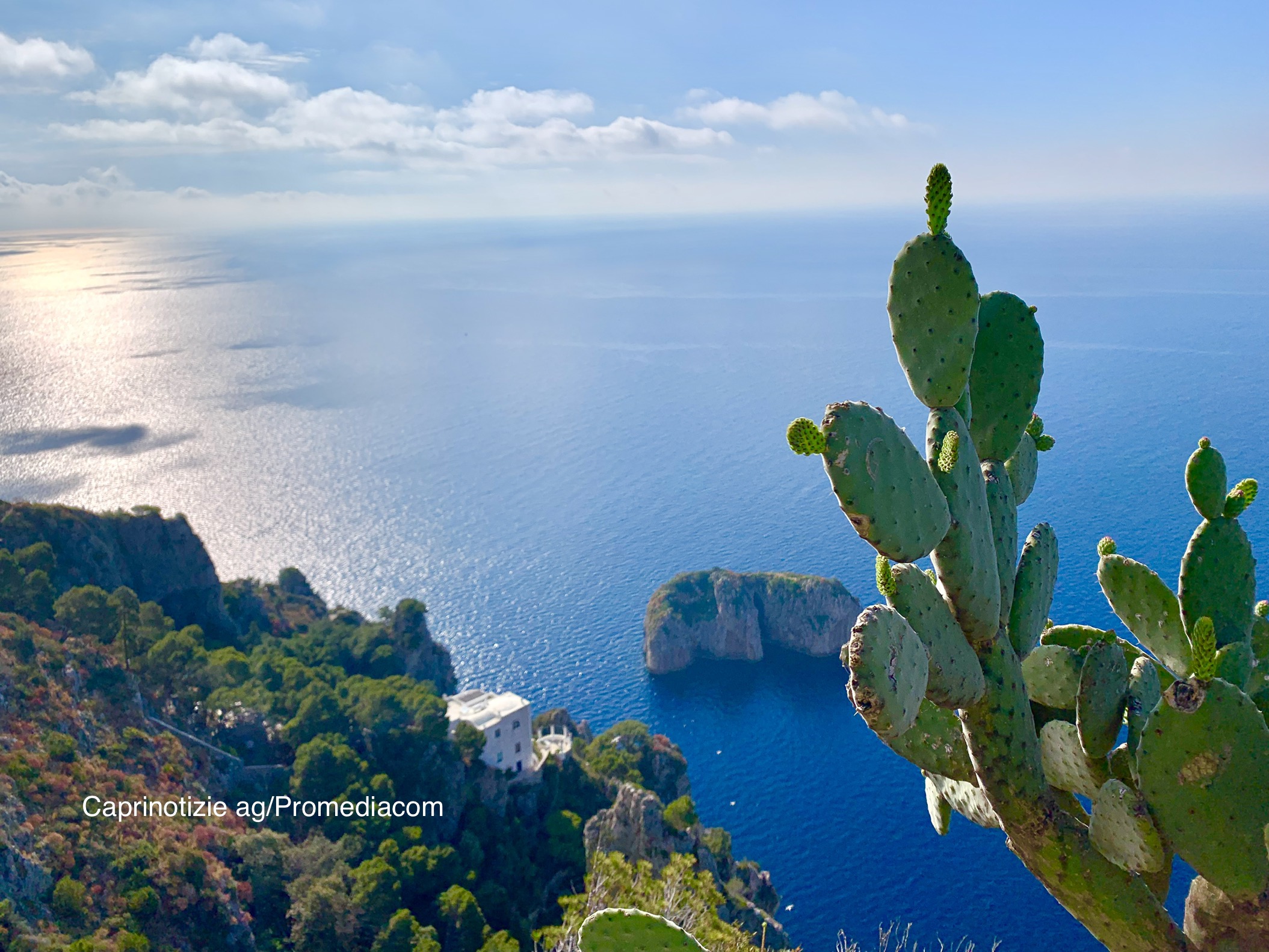 foto mare Capri
