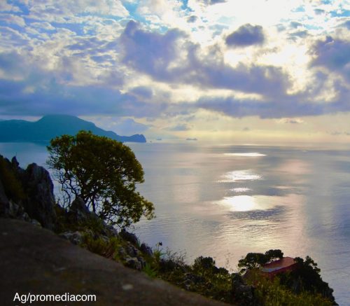 foto alba capri