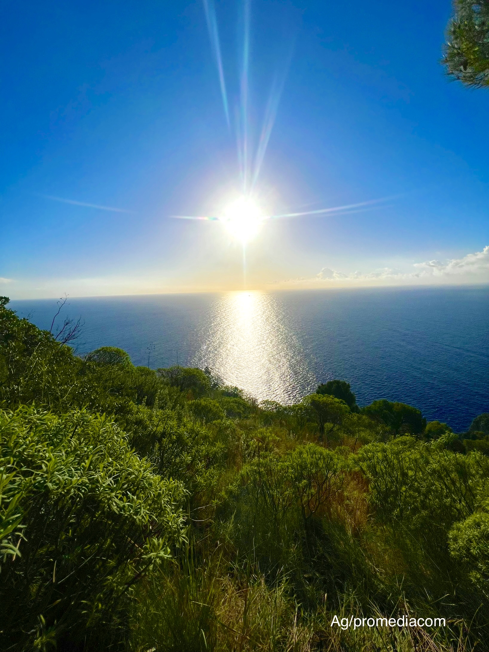 foto mare capri