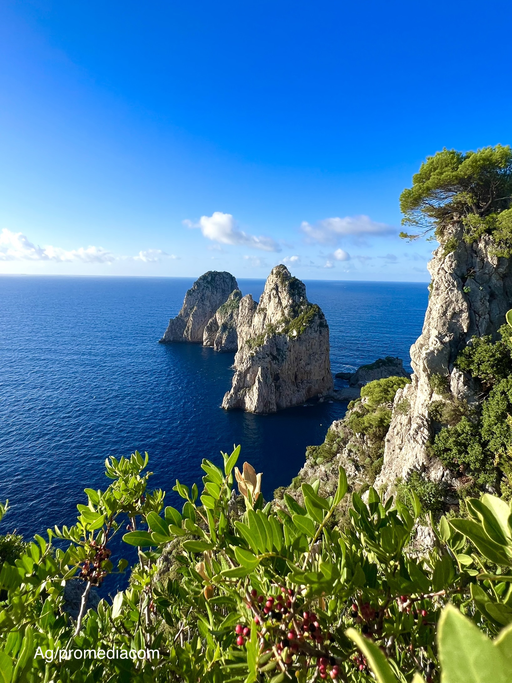 foto mare capri
