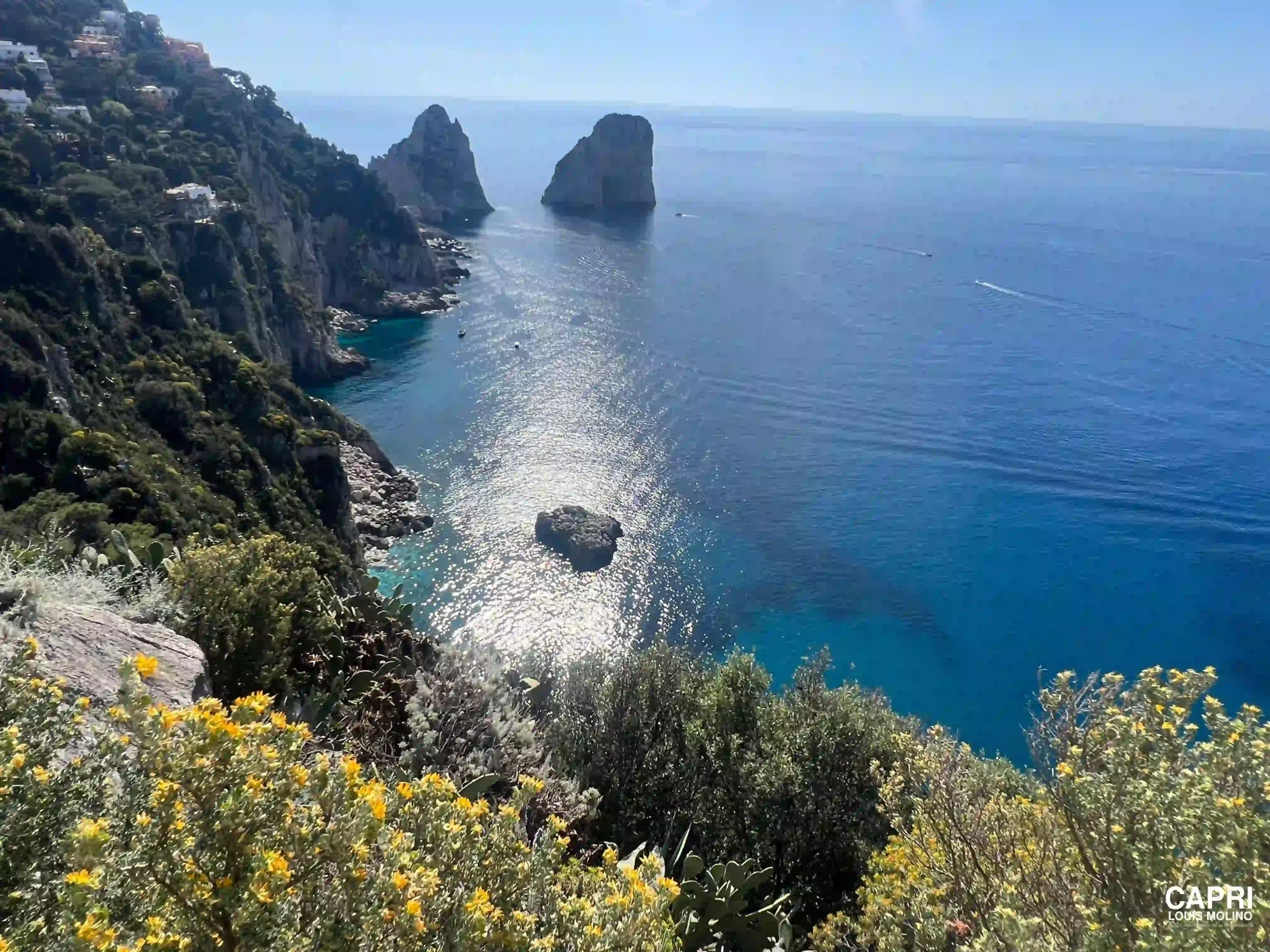 Vista panoramica di Capri con il mare