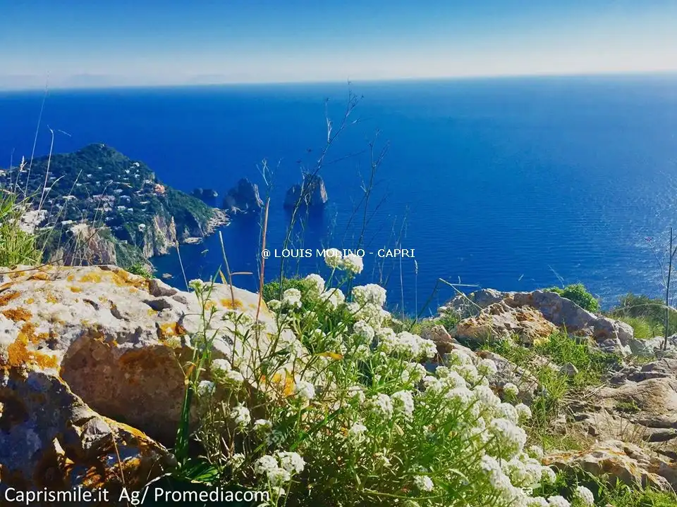 Meteo Capri