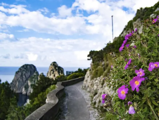 Passeggiate a Capri